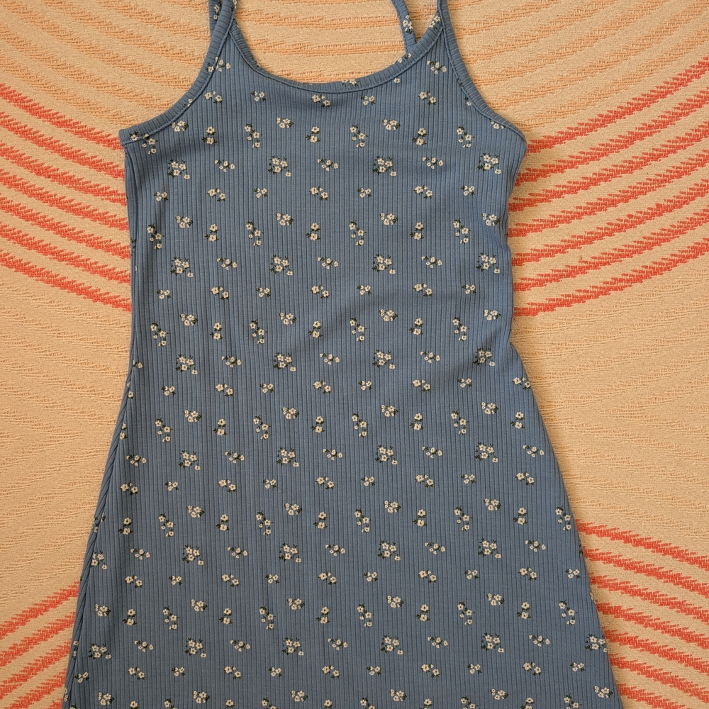 Art Class Blue Floral Mini Dress